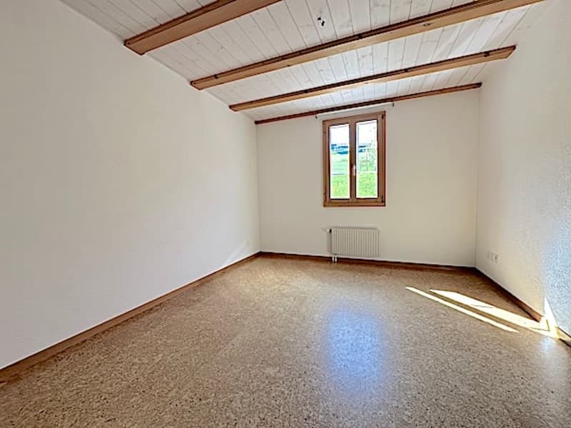 Ferme, Stöckli avec 2 appartements, sources, vue, soleil (32)