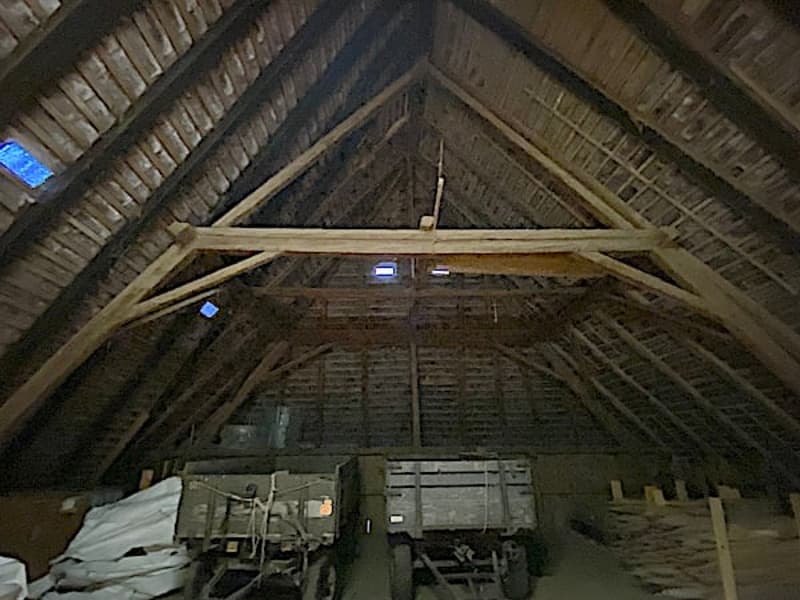 Ferme, Stöckli avec 2 appartements, sources, vue, soleil (24)