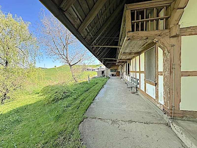 Ferme, Stöckli avec 2 appartements, sources, vue, soleil (19)