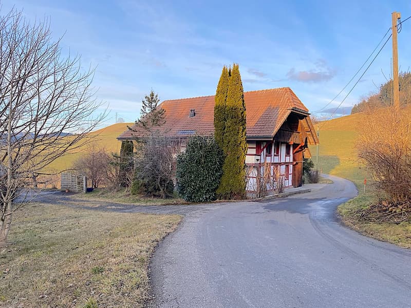 Ferme, Stöckli avec 2 appartements, sources, vue, soleil (9)