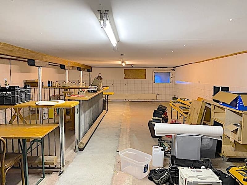 Ferme, Stöckli avec 2 appartements, sources, vue, soleil (40)