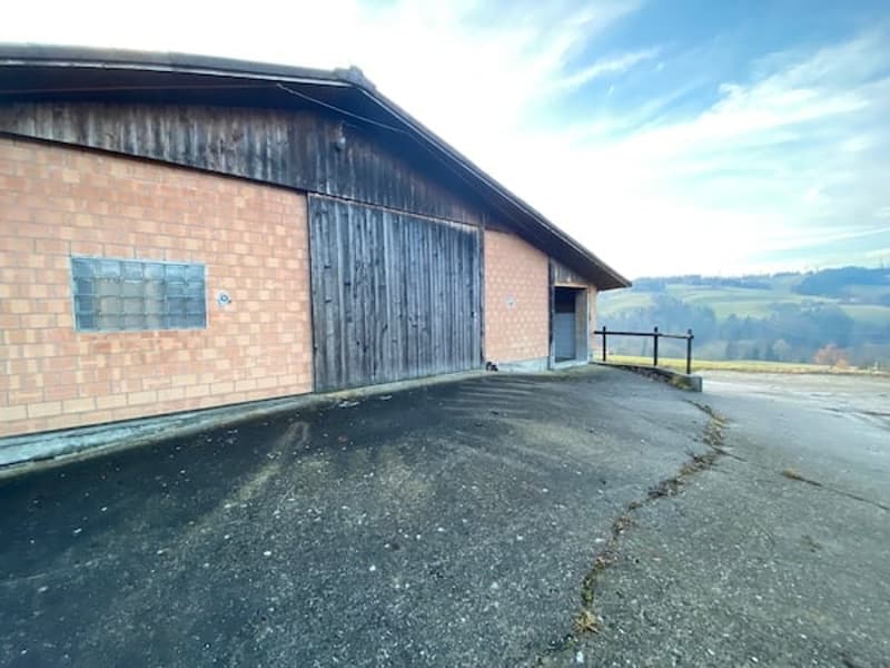 Ferme, Stöckli avec 2 appartements, sources, vue, soleil (21)