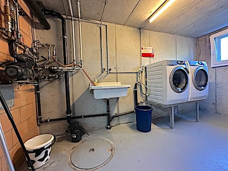 Ferme, Stöckli avec 2 appartements, sources, vue, soleil (39)