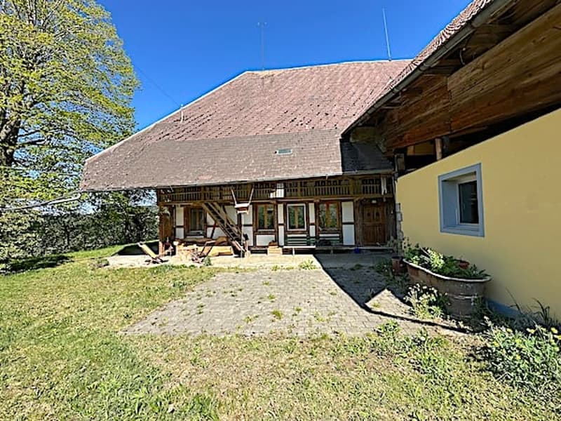 Ferme, Stöckli avec 2 appartements, sources, vue, soleil (16)