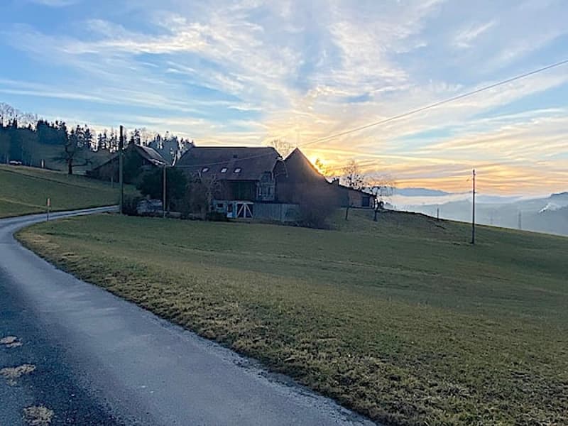 Ferme, Stöckli avec 2 appartements, sources, vue, soleil (1)