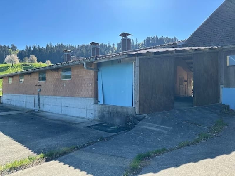 Ferme, Stöckli avec 2 appartements, sources, vue, soleil (20)
