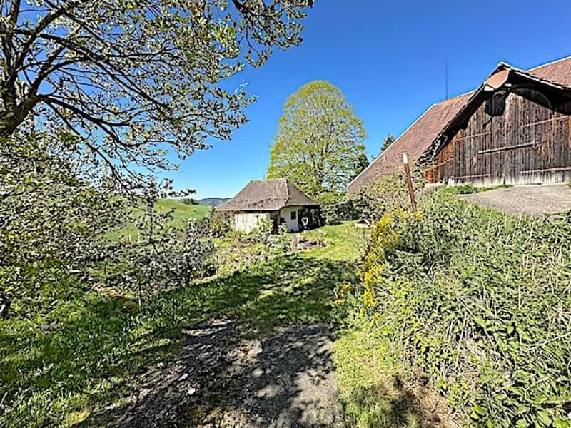 Ferme, Stöckli avec 2 appartements, sources, vue, soleil (14)
