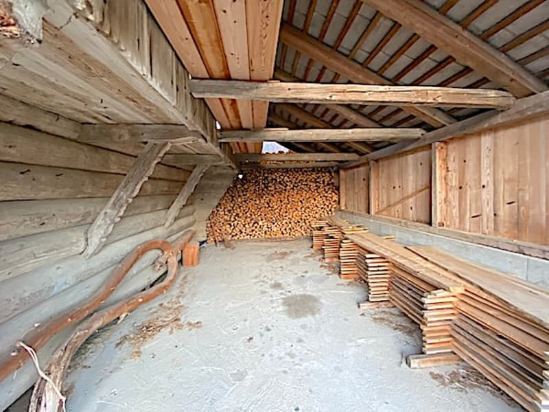 Ferme, Stöckli avec 2 appartements, sources, vue, soleil (8)