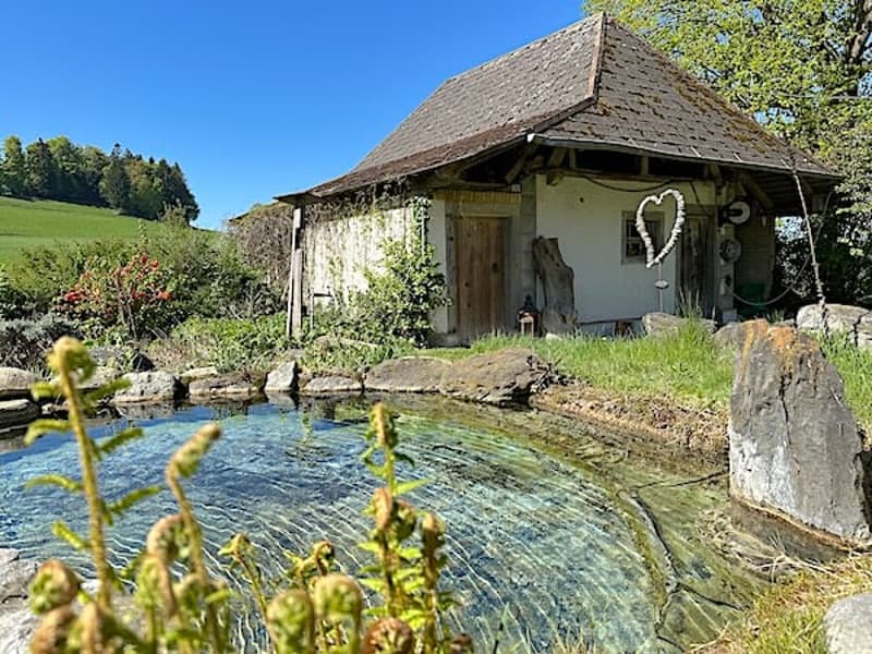 Ferme, Stöckli avec 2 appartements, sources, vue, soleil (15)