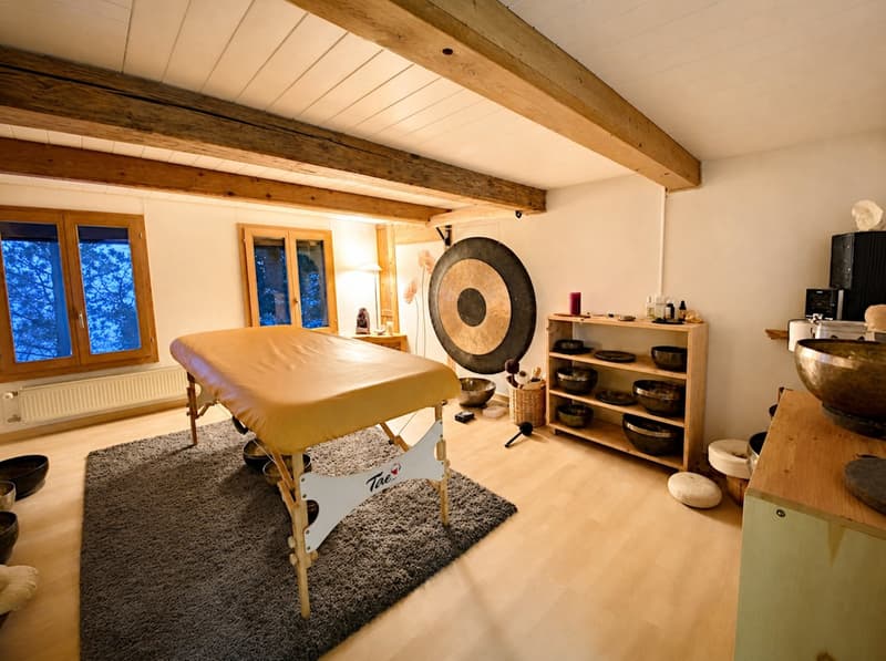 Ferme, Stöckli avec 2 appartements, sources, vue, soleil (37)