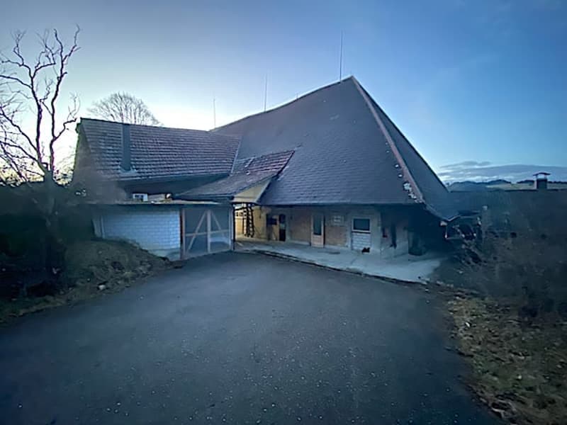 Ferme, Stöckli avec 2 appartements, sources, vue, soleil (3)