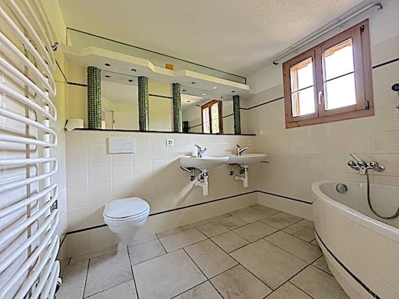 Ferme, Stöckli avec 2 appartements, sources, vue, soleil (27)