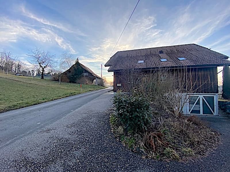 Ferme, Stöckli avec 2 appartements, sources, vue, soleil (11)