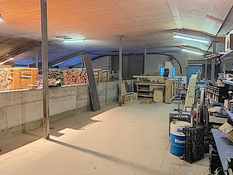 Ferme, Stöckli avec 2 appartements, sources, vue, soleil (22)