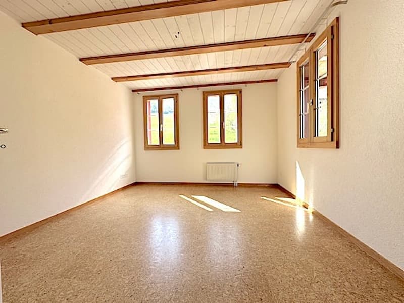 Ferme, Stöckli avec 2 appartements, sources, vue, soleil (31)