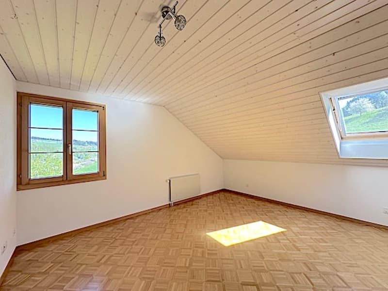Ferme, Stöckli avec 2 appartements, sources, vue, soleil (35)