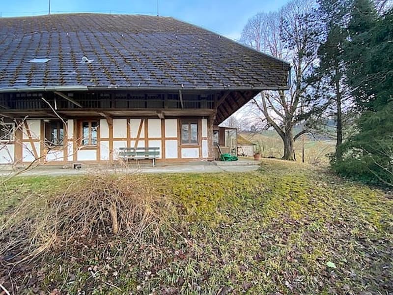 Ferme, Stöckli avec 2 appartements, sources, vue, soleil (4)