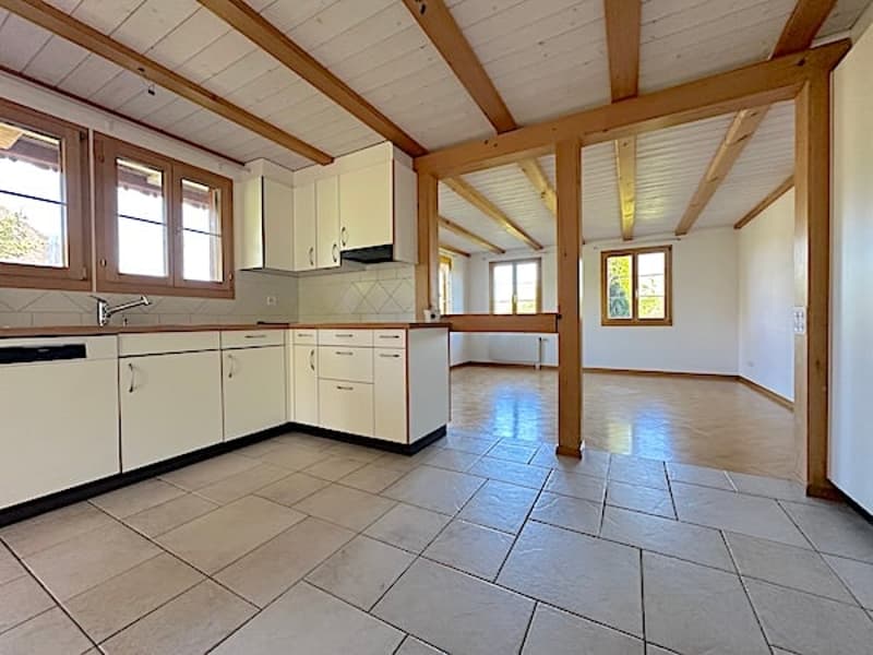 Ferme, Stöckli avec 2 appartements, sources, vue, soleil (30)