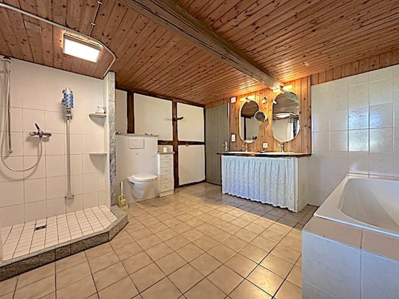 Ferme, Stöckli avec 2 appartements, sources, vue, soleil (26)