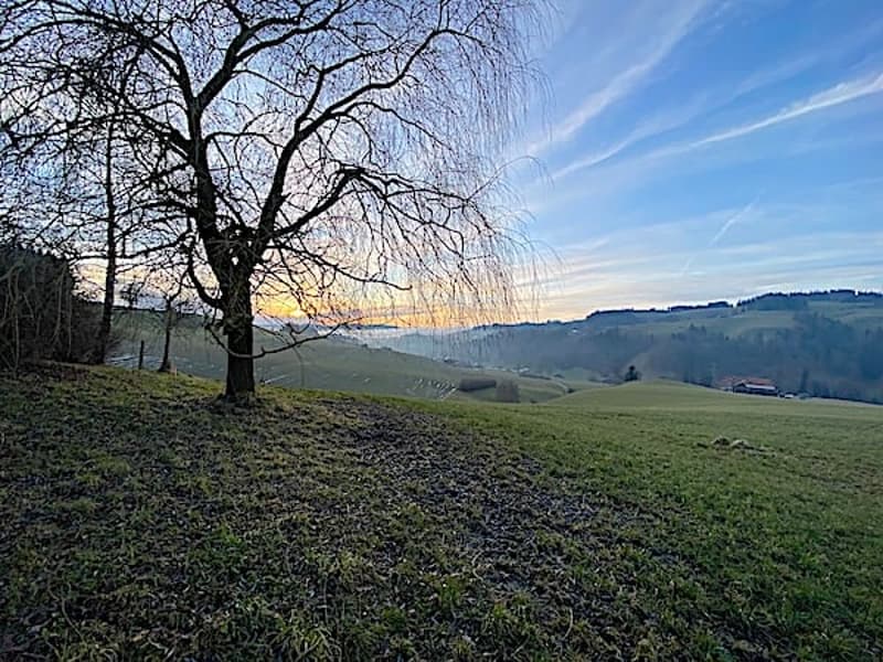Ferme, Stöckli avec 2 appartements, sources, vue, soleil (2)