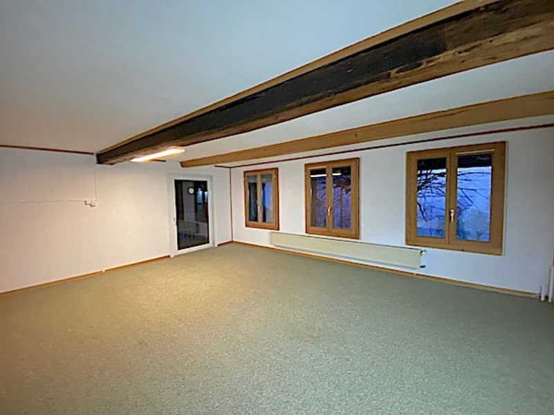 Ferme, Stöckli avec 2 appartements, sources, vue, soleil (38)
