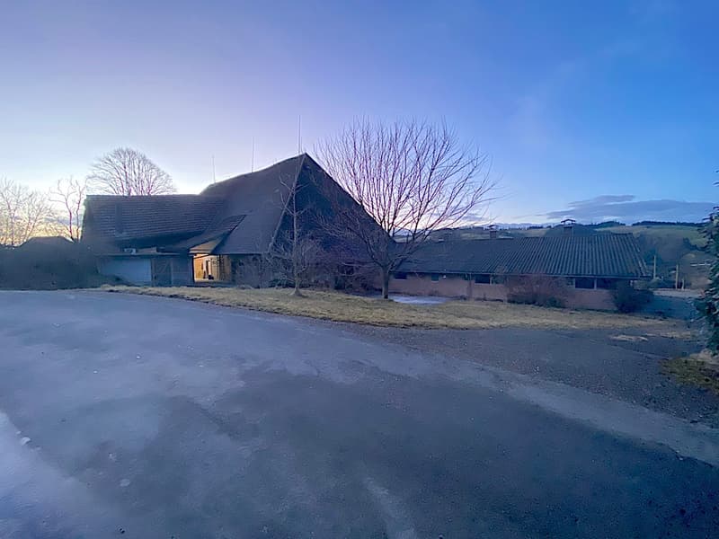 Ferme, Stöckli avec 2 appartements, sources, vue, soleil (6)