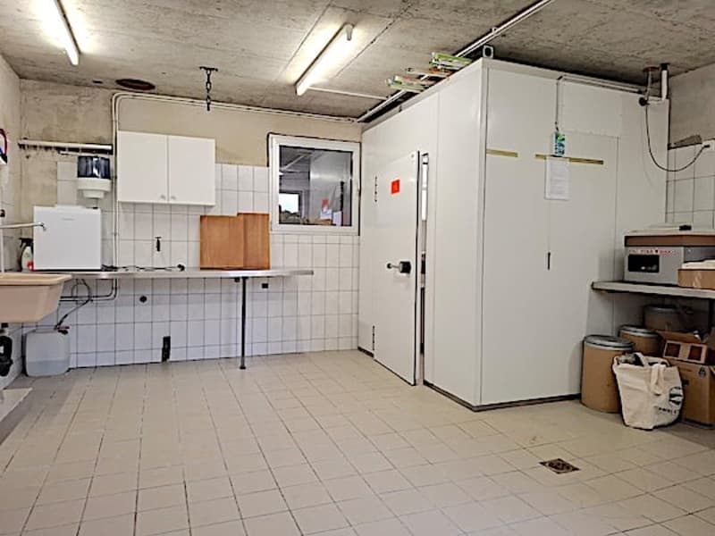 Ferme, Stöckli avec 2 appartements, sources, vue, soleil (43)