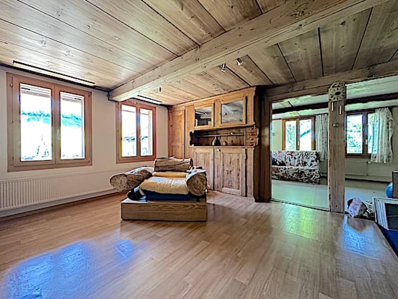 Ferme, Stöckli avec 2 appartements, sources, vue, soleil (36)