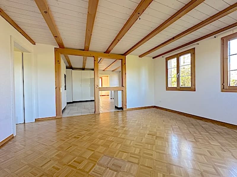Ferme, Stöckli avec 2 appartements, sources, vue, soleil (34)