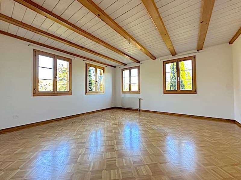 Ferme, Stöckli avec 2 appartements, sources, vue, soleil (33)