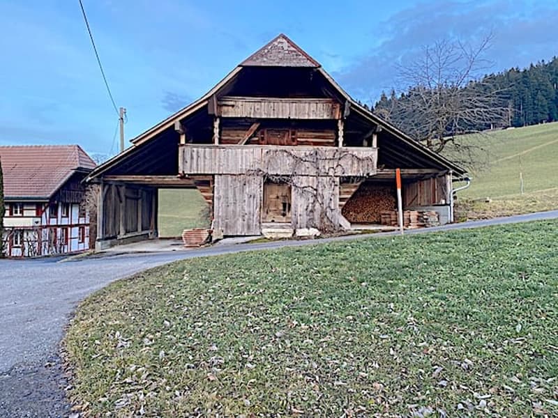 Ferme, Stöckli avec 2 appartements, sources, vue, soleil (7)