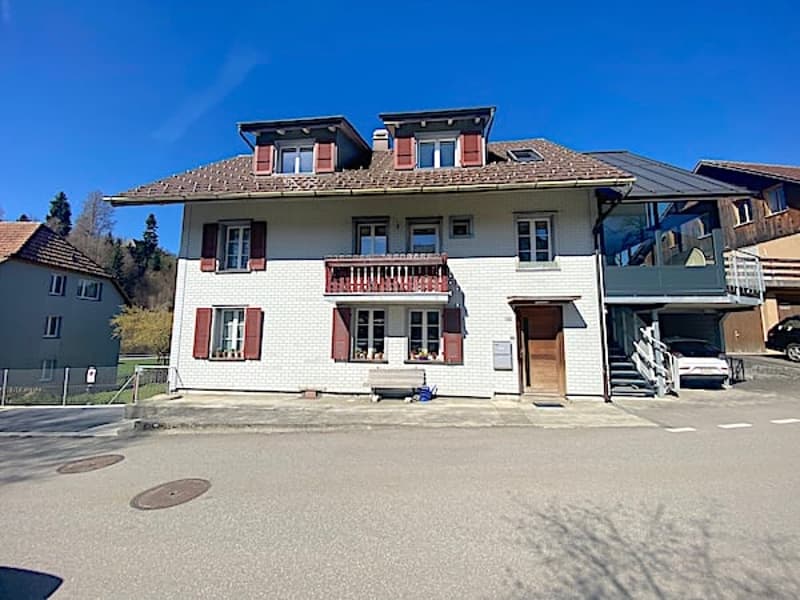 Mehrfamilienhaus m. grossem Garten, 13 Zimmer, 3 Wohnungen (3)