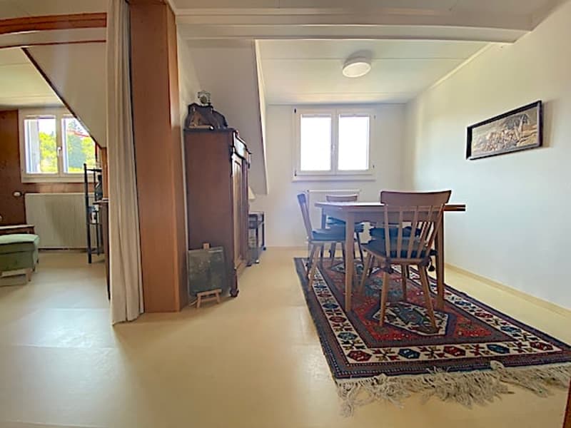 Mehrfamilienhaus m. grossem Garten, 13 Zimmer, 3 Wohnungen (32)