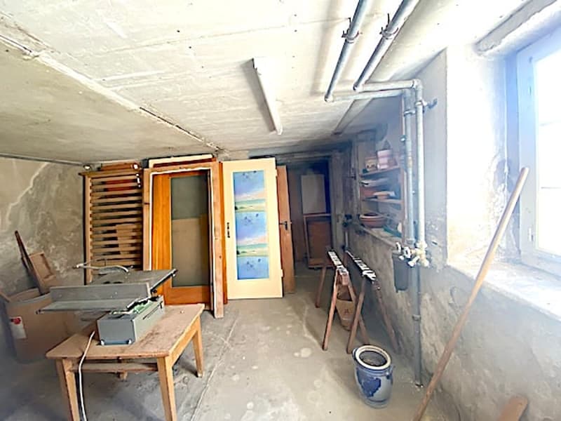 Mehrfamilienhaus m. grossem Garten, 13 Zimmer, 3 Wohnungen (40)