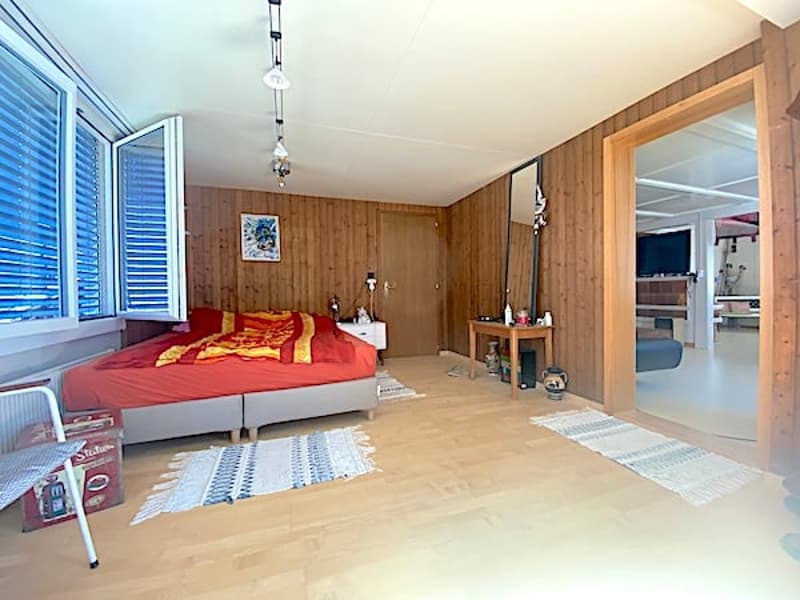 Mehrfamilienhaus m. grossem Garten, 13 Zimmer, 3 Wohnungen (15)