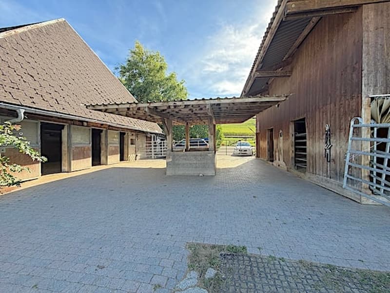 Ein Bauernhaus wie im Paradies! (13)