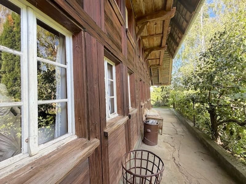 Ein Bauernhaus wie im Paradies! (7)