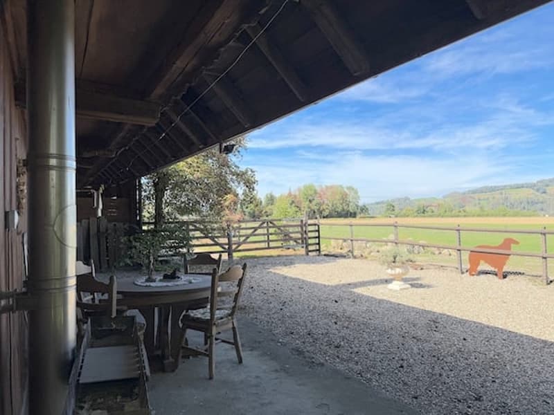Ein Bauernhaus wie im Paradies! (10)