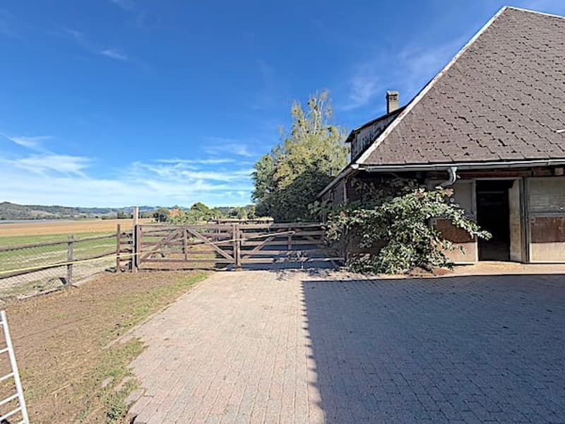 Ein Bauernhaus wie im Paradies! (12)