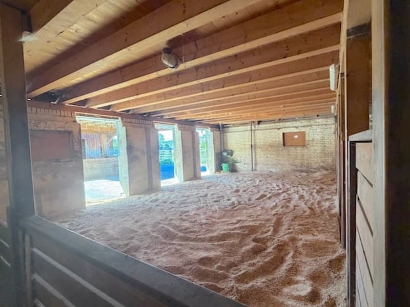 Ein Bauernhaus wie im Paradies! (16)