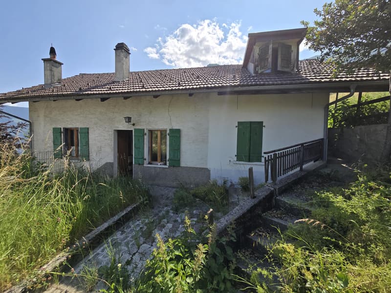Casa a schiera di 3.5 locali / giardino, posti auto, cantina e garage (6)