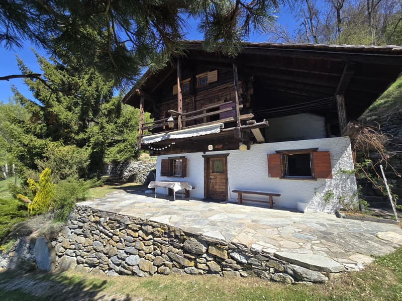 Authentic chalet of 5.5 rooms with mazot, barn and wine cellar on large estate in Val d'Hérens (3)