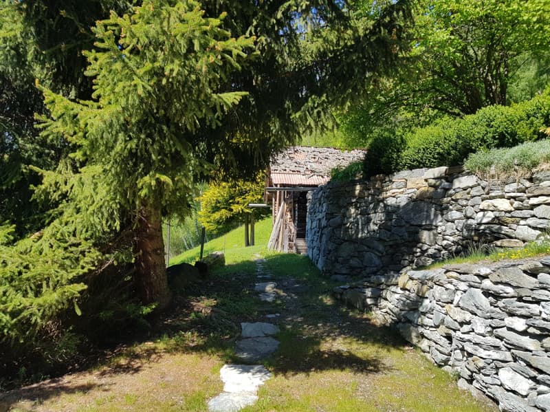Authentic chalet of 5.5 rooms with mazot, barn and wine cellar on large estate in Val d'Hérens (11)