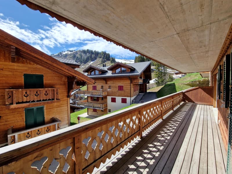 Magnificent ski-in/ski-out apartment in the heart of Les Crosets, Portes du Soleil (4)