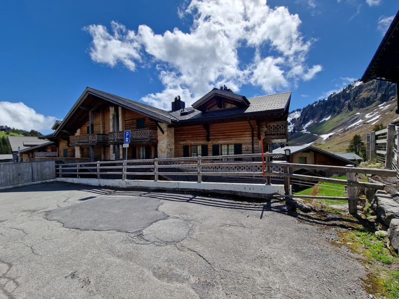 Magnificent ski-in/ski-out apartment in the heart of Les Crosets, Portes du Soleil (13)