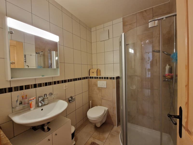 Magnificent ski-in/ski-out apartment in the heart of Les Crosets, Portes du Soleil (12)