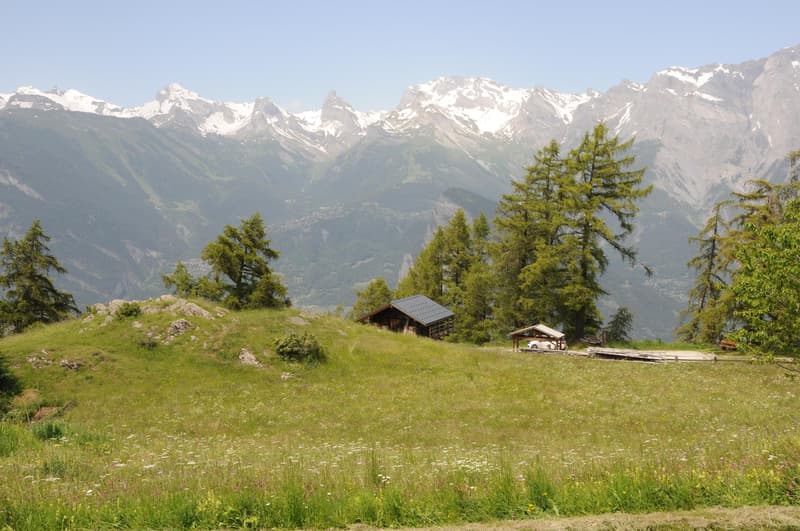 Baugrundstück - einfacher Zugang und Panoramablick (3)