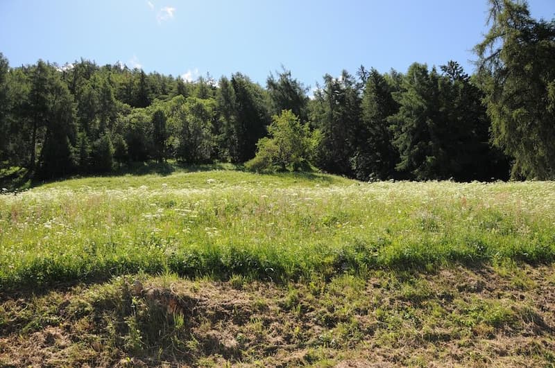 Buildable land Isérables (5 minutes from Haute-Nendaz) - Panoramic view - main residence (3)