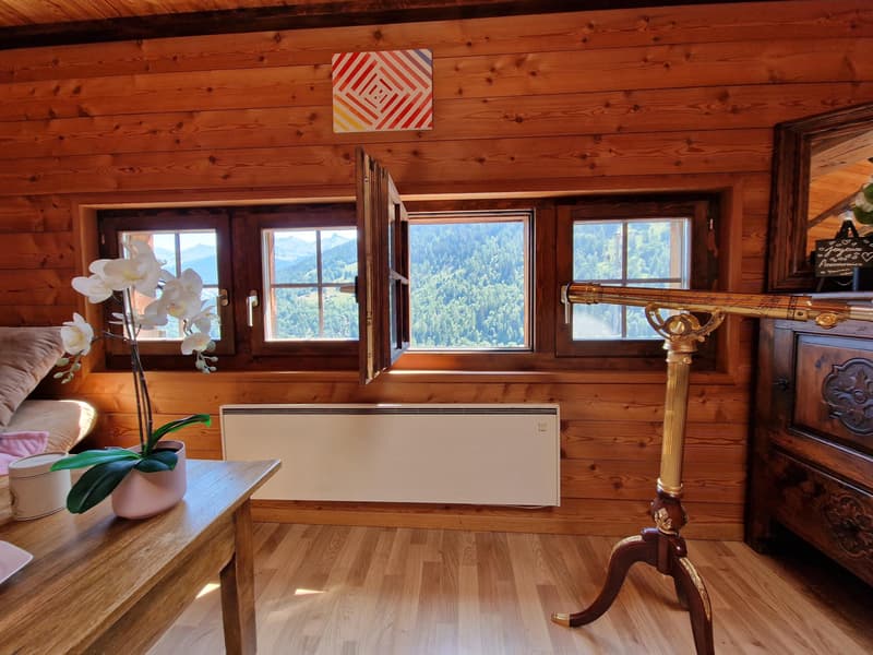 Vente aux étrangers possible - Appartement de charme avec terrasse et vue panoramique sur les Alpes (5)