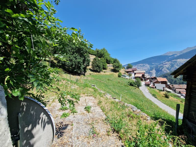 Vente aux étrangers possible - Appartement de charme avec terrasse et vue panoramique sur les Alpes (11)